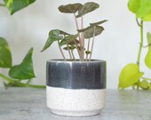 The Blaine Ceramic Plant Pot Black and White Succulent Cacti Indoor Planter Small