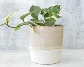 The Louise Ceramic Plant Pot Minimalist Indoor Planter Medium