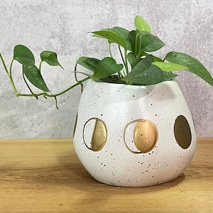 The Moon Child Pot | Small
