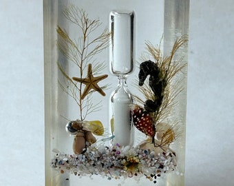 Lucite ocean seashell vintage plastic kitchen hourglass timer seahorse souvenir