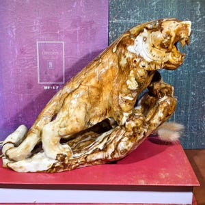 May include: A detailed sculpture of a tiger, carved from a light brown material with darker brown veining. The tiger is in a dynamic pose, mouth open, and rests on a textured base. The sculpture is placed on a red surface.