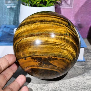 Può includere: Una sfera di occhio di tigre lucidata, che mostra fasce di giallo dorato, marrone e nero. La gemma è liscia e sferica, con un motivo naturale e vorticoso. Un oggetto decorativo unico.