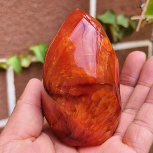 May include: A polished carnelian gemstone, shaped like a teardrop. The stone is a vibrant orange-red colour, featuring detailed internal patterns and a glossy finish. The gemstone is held in a hand, showing its size and shape. This natural stone is a decorative item.