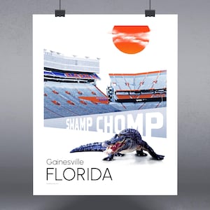 Gainesville Florida Art Print, Home Decor, Modern Design, Gift for University of Florida Graduates and Students, Florida Gators