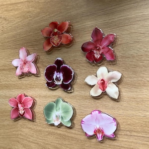 Puede incluir: Colección de siete broches con forma de flor de orquídea en varios colores, incluyendo rojo, rosa, morado y verde. Los broches tienen un acabado transparente y brillante, dispuestos sobre una superficie de madera marrón claro.