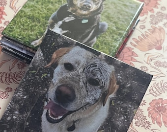 Custom Pet Photo Magnet | Personalized Dog & Cat Gift