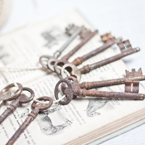 Vintage French Skeleton Keys Big Medium Lot of 9 Antique Steampunk Country Home Decor Shabby Chic