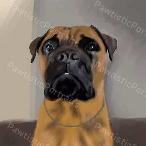 Portrait d'animal de compagnie personnalisé - dessin numérique personnalisé dessiné à la main