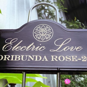 May include: A dark brown rectangular garden sign with the words "Electric Love" and "Floribunda Rose-2025" in gold lettering. A floral design is above the text. The sign is mounted on a metal frame.