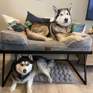 Customizable Steel Dog Bunk Bed: Modern Raised Pet Bed