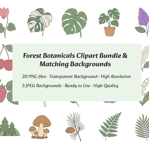 Clipart botaniche + Sfondi – 20 piante PNG e 3 sfondi / Download digitale della natura della foresta tramite collegamento PDF