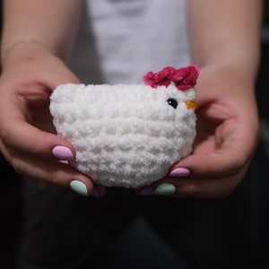 Crochet Chicken friend