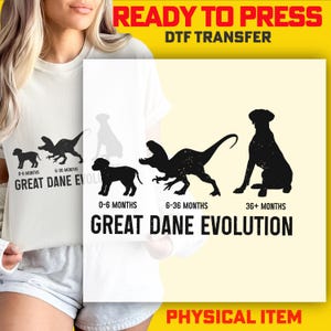 May include: White t-shirt featuring a black graphic of a Great Dane evolution, from puppy to dinosaur to adult dog. Text reads "Great Dane Evolution" and "Ready to Press DTF Transfer."