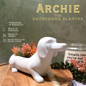 Archie | Handmade Dachshund Planter | Jesmonite Wiener Dog Succulent Pot