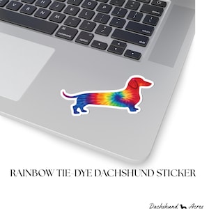 Rainbow Tie-Dye Dachshund Sticker | Glossy Vinyl Doxie Decal image 1