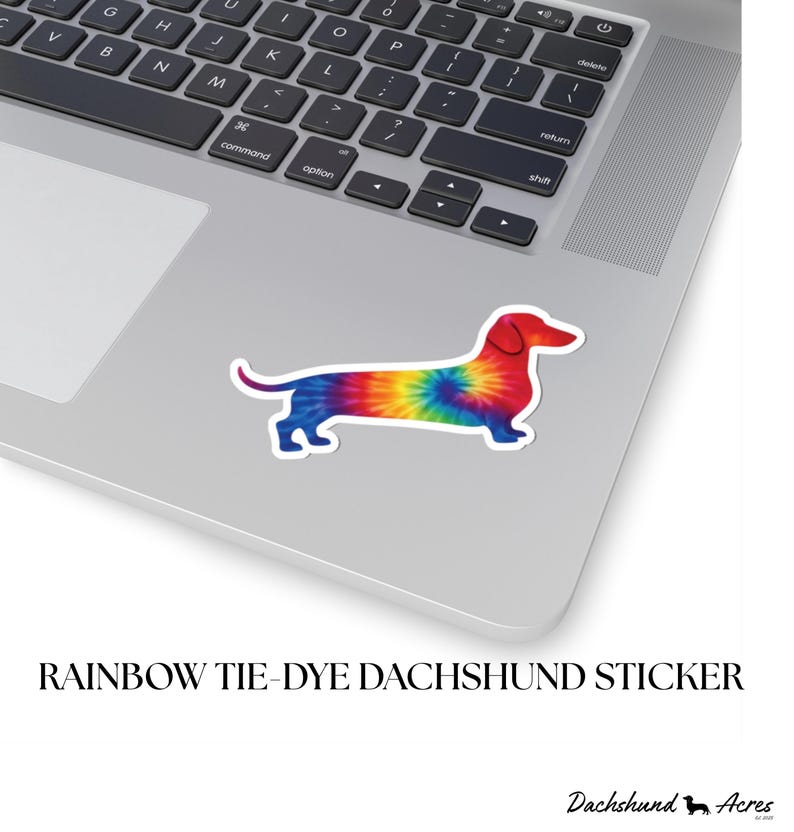 Rainbow Tie-Dye Dachshund Sticker | Glossy Vinyl Doxie Decal image 1