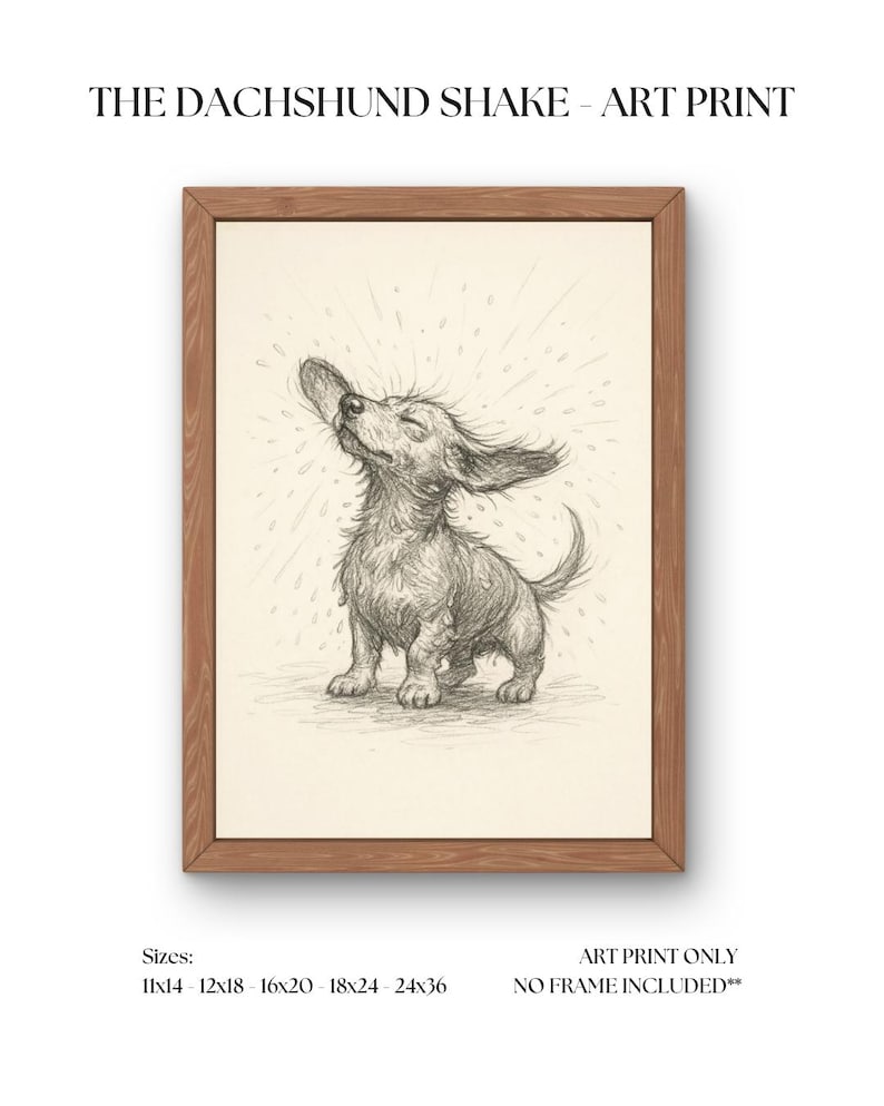 K&ouml;nnte beinhalten: Ein Kunstdruck mit dem Titel "THE DACHSHUND SHAKE". Die Bleistiftzeichnung zeigt einen Dackel, der sich sch&uuml;ttelt, mit Wassertropfen. Der Druck ist in einem Holzrahmen gerahmt. Verf&uuml;gbare Gr&ouml;&szlig;en: 28x35cm, 30x46cm, 41x51cm, 46x61cm und 61x91cm.