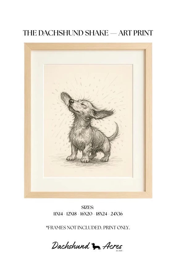 Dachshund 'Shake' Art Print | Vintage Pencil Sketch Illustration | Wiener Dog Gift | Pet Lover Gifts