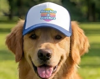 Chapeau drôle pour chien « Bitches & Beaches » – Casquette de camionneur en mousse avec jugulaire – Cadeau pour chien de plage