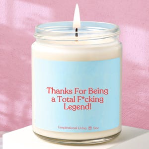 Thank You Gift – Funny Thank You Candle – Appreciation Gift for Friend or Coworker – – Unique Gratitude Candle - Thanks for Being a Legend