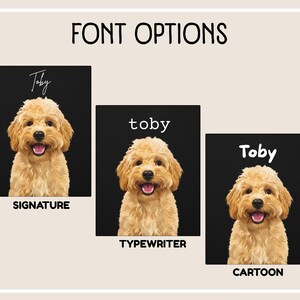 font options