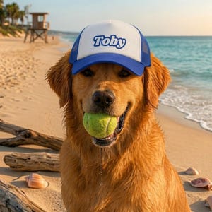 Custom Dog Hat With Name - Foam Trucker Caps For Dogs - Funny Dog Outfit Gift