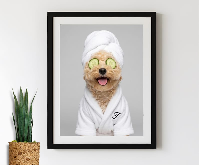 Custom Dog Bathroom Portrait - Funny Dog in White Spa Robe With Cucumbers and Embroidered Initial Prints