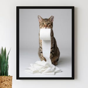 Cat with toilet paper