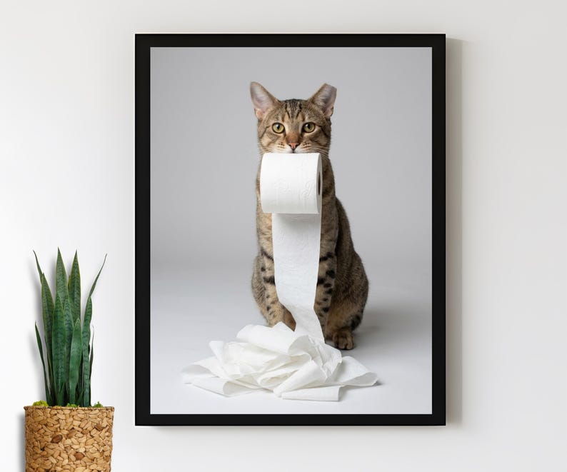 Cat with toilet paper