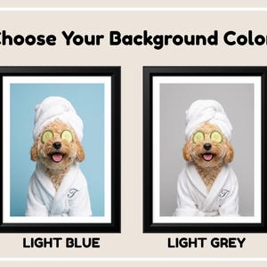 Choose Your Personalized Background Color:  Light Blue or Light Grey
