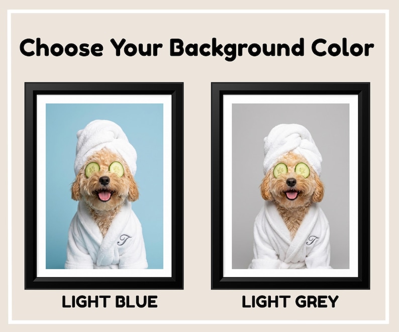 Choose Your Personalized Background Color:  Light Blue or Light Grey