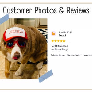 Actual customer photos and reviews