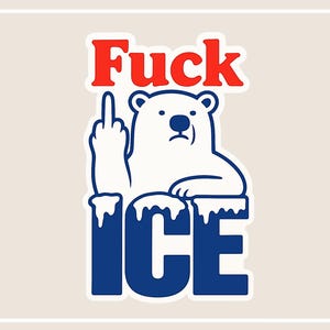 Middle Finger to ICE Decal