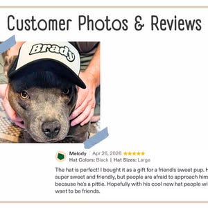 Actual customer photos and reviews