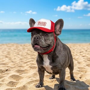 Custom Dog Hat With Name - Foam Trucker Caps For Dogs - Funny Dog Outfit Gift