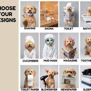 May include: A grid of twelve images featuring a light brown poodle in various humorous scenarios, including shaving, sauna, toilet, bathtub, cucumber mask, mud mask, reading a magazine, brushing teeth, holding toilet paper, blowdrying, reading a newspaper, and sleeping on towels. The text CHOOSE FOUR DESIGNS is displayed on the left.
