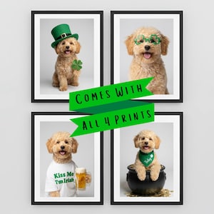 May include: Four framed prints featuring adorable dogs dressed for St. Patrick's Day. One dog wears a green hat and holds a shamrock, another wears shamrock glasses, a third wears a shirt that says "Kiss Me I'm Irish", and the last sits in a pot of gold.
