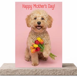 Custom Dog Mother's Day Card With Tulips