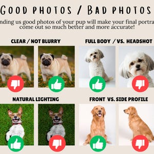 Submitting Good Photos Helps With Accuracy of Your Dog