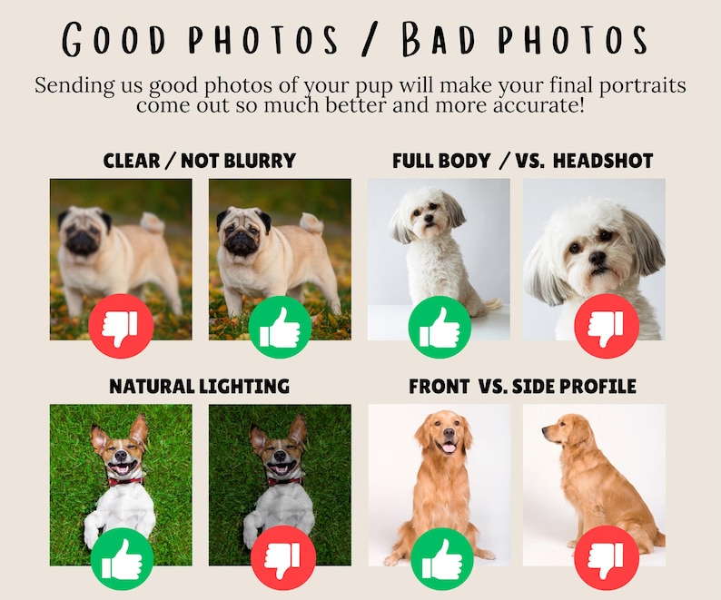 Submitting Good Photos Helps With Accuracy of Your Dog