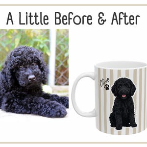 before and after