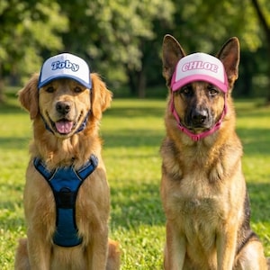 Peut inclure: Deux chiens portant des casquettes avec des noms. Un golden retriever porte une casquette bleue et blanche avec le mot "Toby". Un berger allemand porte une casquette rose et blanche avec le mot "Chloe". Les deux chiens sont assis sur de l'herbe verte.