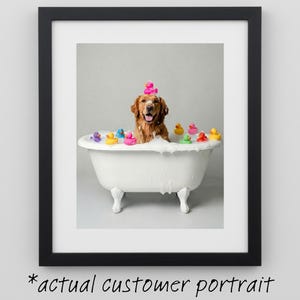 Dog in Bathtub With Suds, Bubbles, and Rubber Ducks