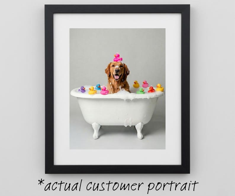 Dog in Bathtub With Suds, Bubbles, and Rubber Ducks