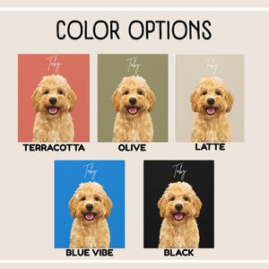 canvas color options