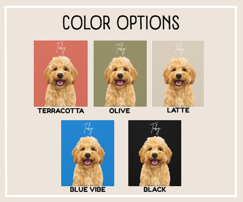 canvas color options