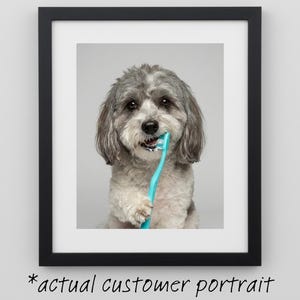 Bathroom Dog Portrait Brushing Its Teeth