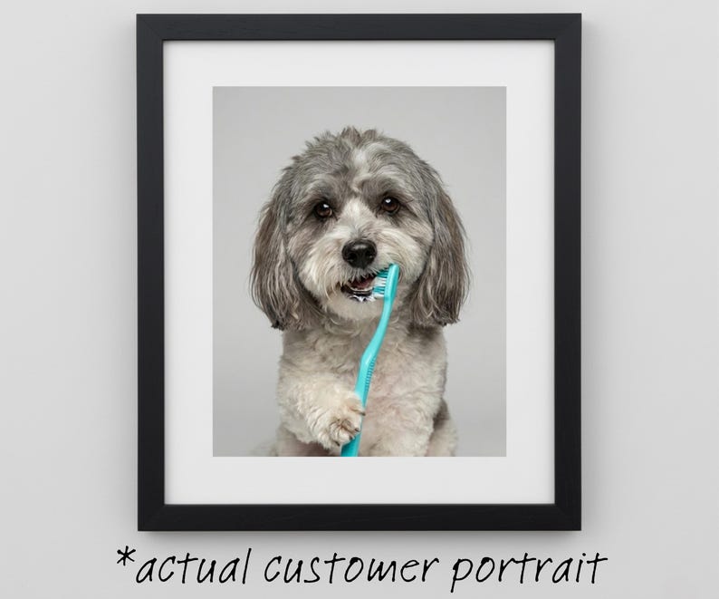 Bathroom Dog Portrait Brushing Its Teeth