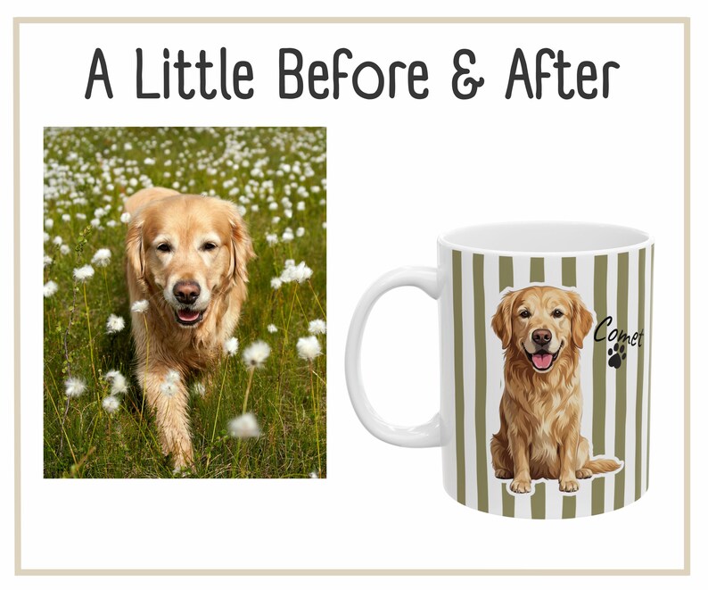 before and after