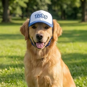 Custom Dog Hat With Name - Foam Trucker Caps For Dogs - Funny Dog Outfit Gift